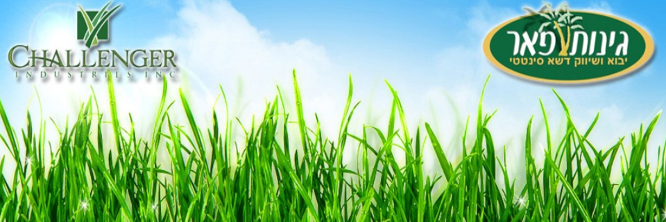 דשא סינטטי זה גינות פאר כי על דשא סינטטי איכותי לא מתפשרים.