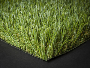 דשא סינטטי פספלום עלית גינות פאר