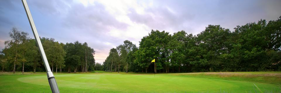 דשא-סינטטי-חשוב-למשתמש